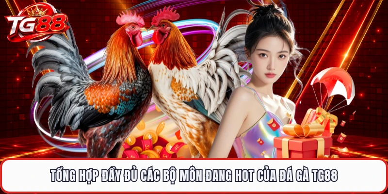 Tổng hợp đầy đủ các bộ môn đang hot của đá gà TG88